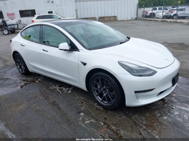 Tesla Model 3 Rear-wheel Drive Image 1