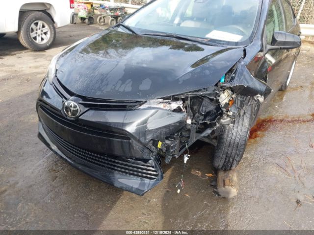 Toyota Corolla Le Image 14