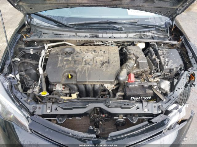 Toyota Corolla Le Image 8