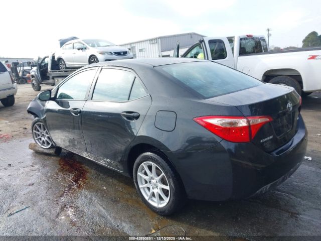 Toyota Corolla Le Image 3