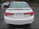 Honda Accord 3.5 Ex-l Image 14
