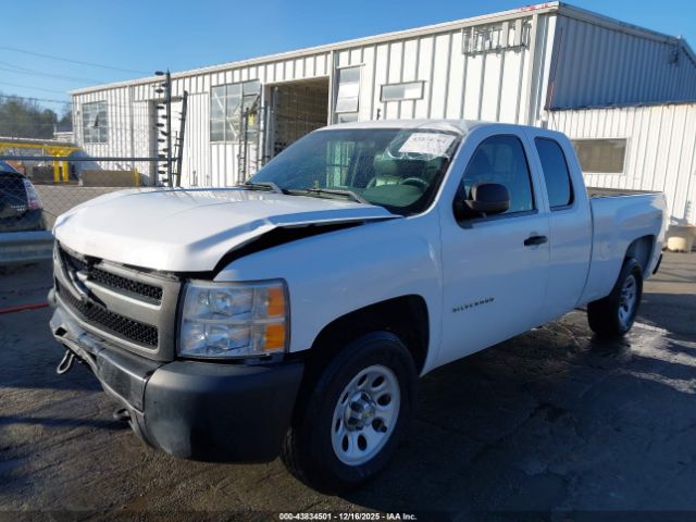 Chevrolet Silverado 1500 Work Truck Image 3