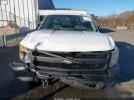 Chevrolet Silverado 1500 Work Truck Image 8