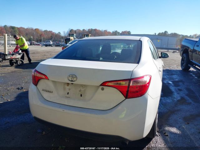 Toyota Corolla L Image 5