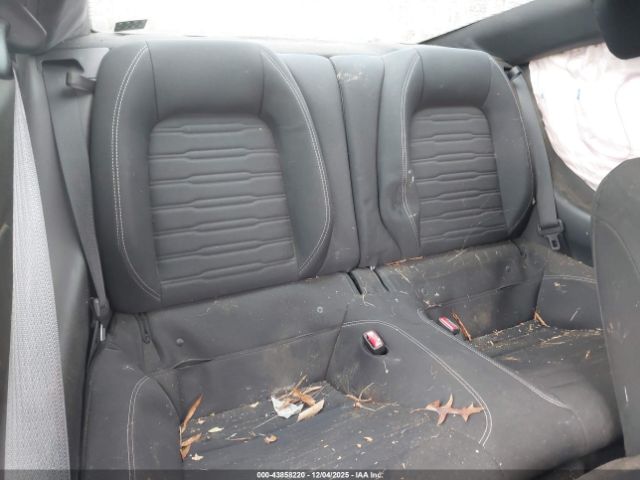 Ford Mustang Ecoboost Image 9