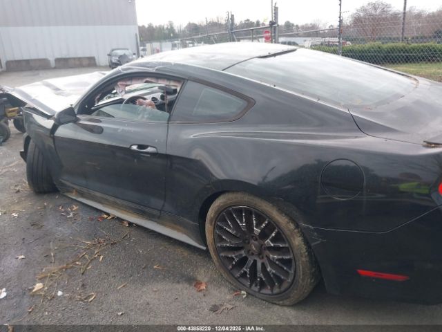 Ford Mustang Ecoboost Image 13