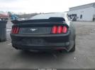 Ford Mustang Ecoboost Image 14