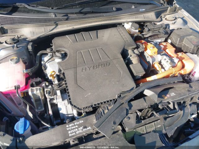 Hyundai ELANTRA Blue Image 7