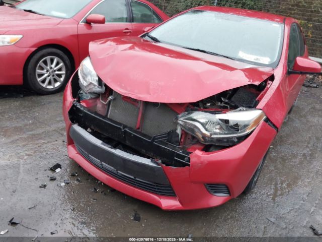 Toyota Corolla Le Image 10