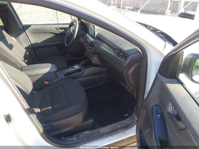 Ford Escape Active Image 4