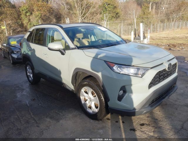 Toyota RAV4 Xle Image 1