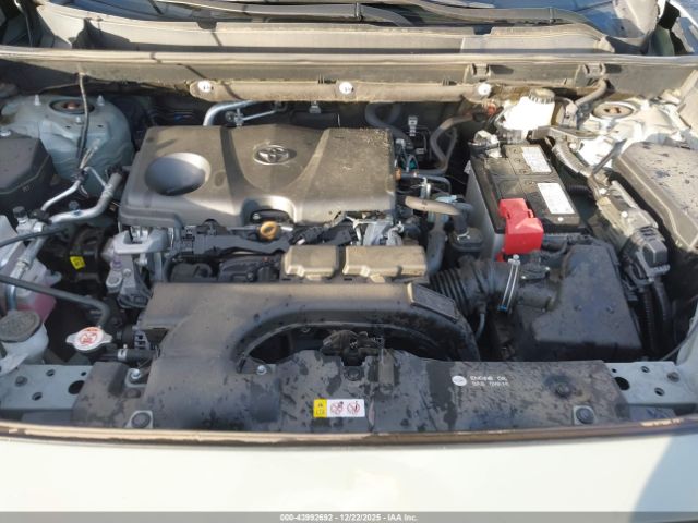 Toyota RAV4 Xle Image 12