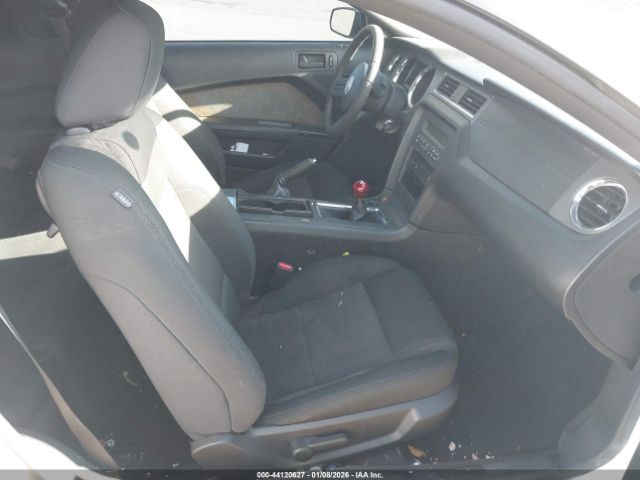 Ford Mustang Gt Image 5