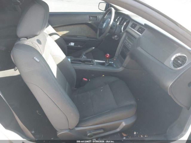 Ford Mustang Gt Image 5