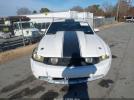 Ford Mustang Gt Image 11